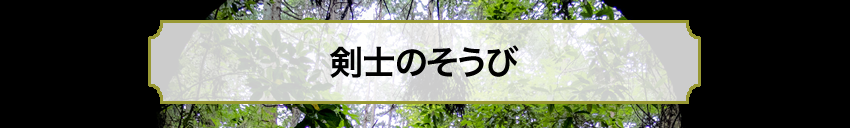 冒険者のそうび