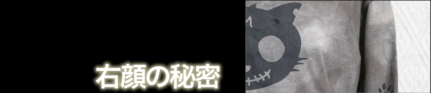 右顔の秘密