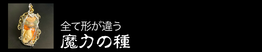 全て形が違う魔力の種