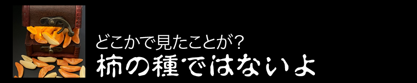全て形が違う魔力の種